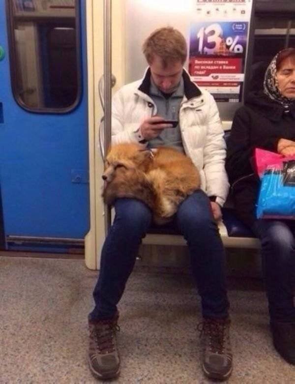 Strange People In The Subway (31 pics)