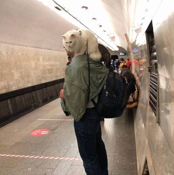 Strange People In The Subway (31 pics)