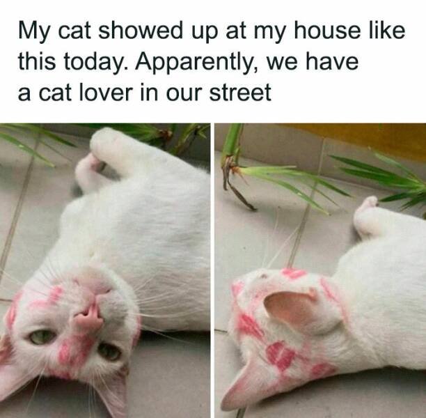 Funny Memes (24 pics)