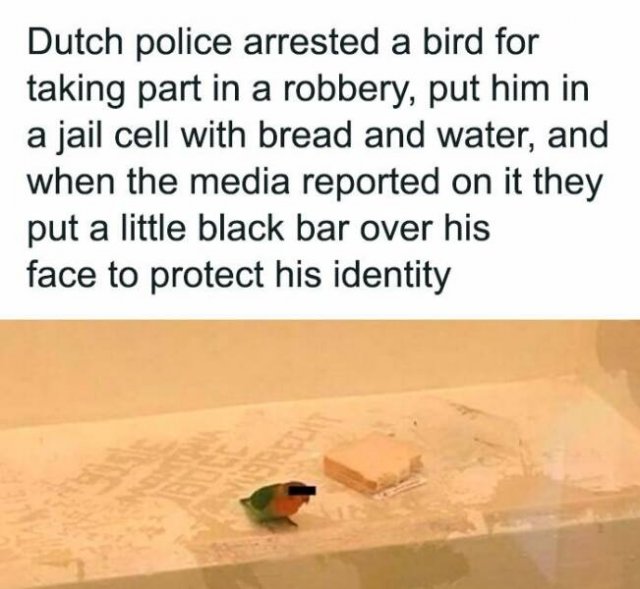 Funny Memes (24 pics)