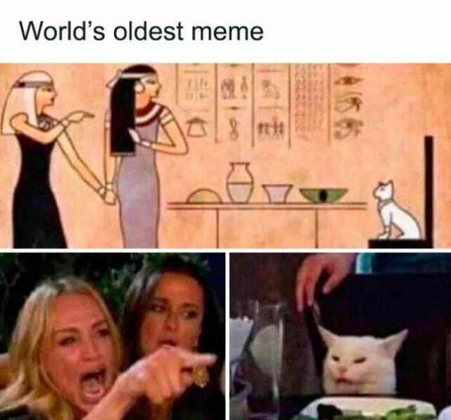 Funny Memes (24 pics)