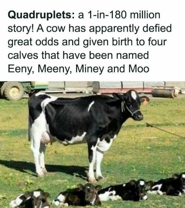 Funny Memes (24 pics)