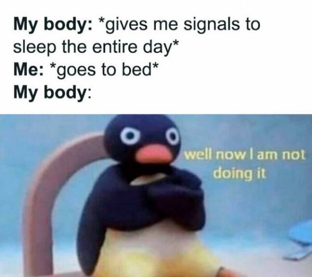 Funny Memes (24 pics)