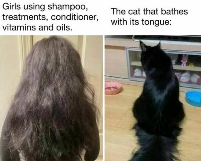 Funny Memes (24 pics)