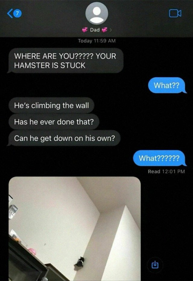 Funny Memes (24 pics)
