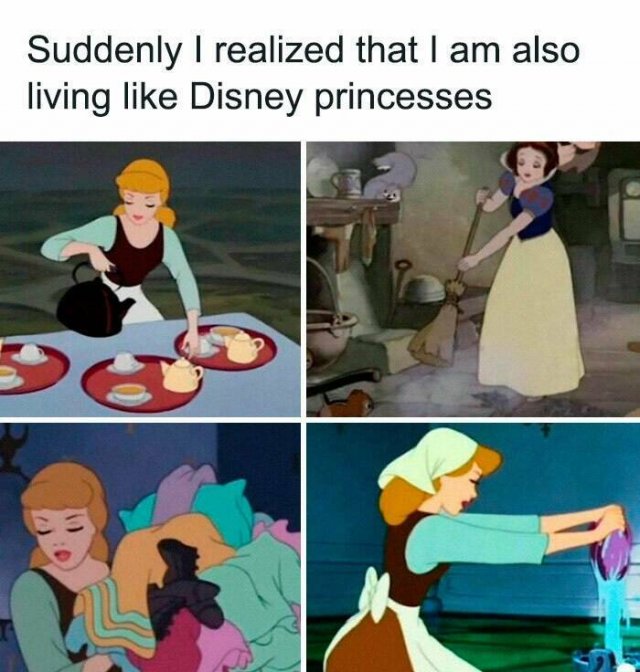 Funny Memes (24 pics)