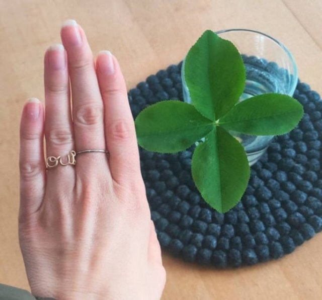 Successful Finds (17 pics)