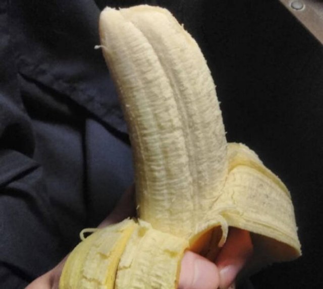 Successful Finds (17 pics)