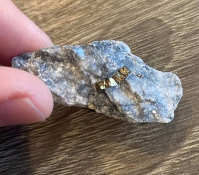 Successful Finds (17 pics)