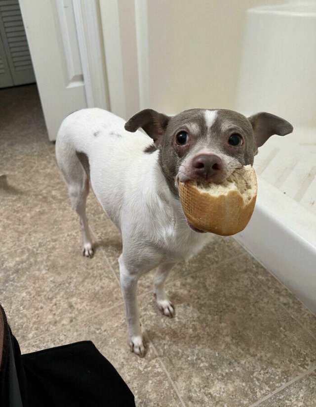 Bad Days Happen (21 pics)