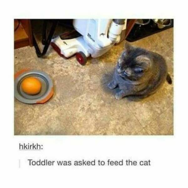 Epic And Funny Fails (22 pics)
