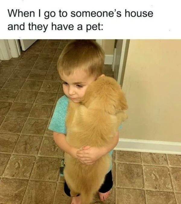 Random Jokes (27 pics)