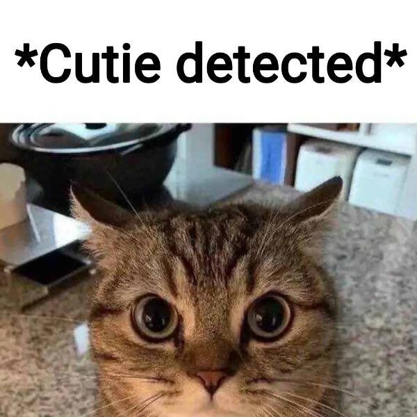Random Jokes (27 pics)