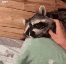 Strange "Crimes" (17 gifs) Strange "Crimes" (17 gifs)