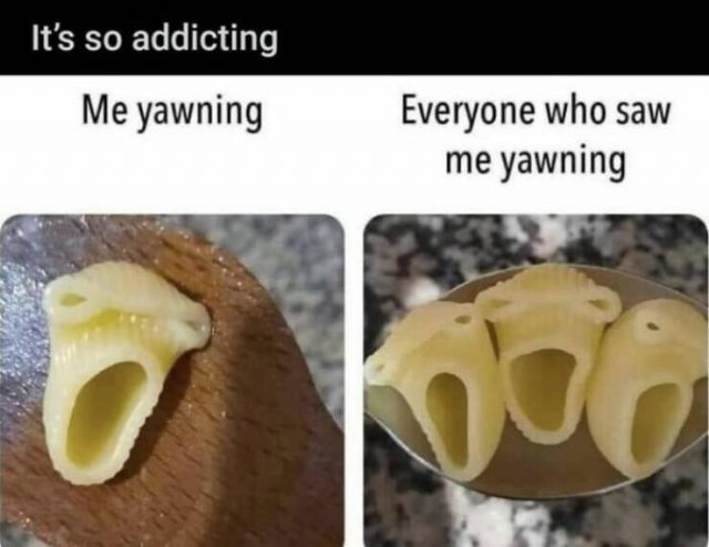 Funny Memes (22 pics)