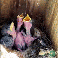 Odd Thoughts (15 gifs) Odd Thoughts (15 gifs)