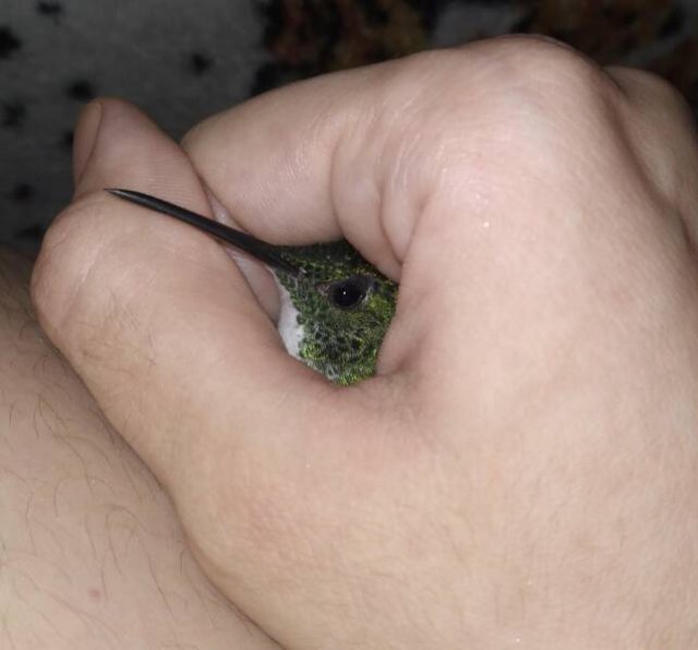Interesting Finds And Discoveries (20 pics)