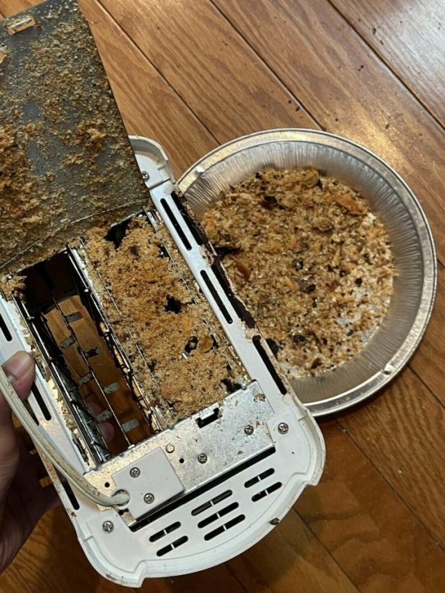 Interesting Finds And Discoveries (20 pics)