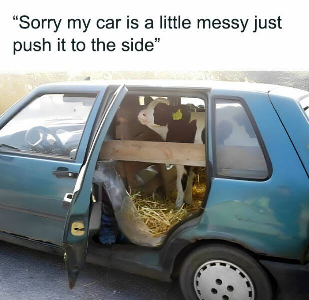 Jokes About Eastern Europeans (19 pics)