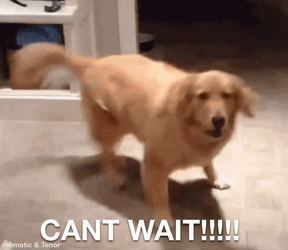 Strange Thoughts (16 gifs) Strange Thoughts (16 gifs)