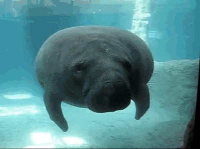 Strange Thoughts (16 gifs) Strange Thoughts (16 gifs)