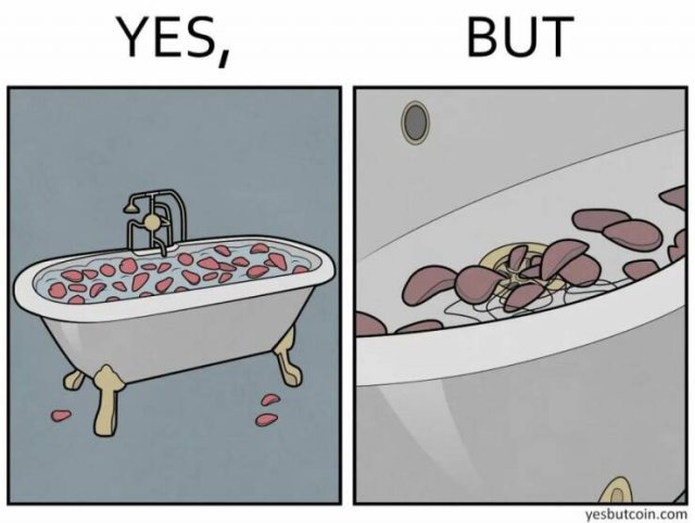 Funny ''Yes, But'' Pictures (25 pics)