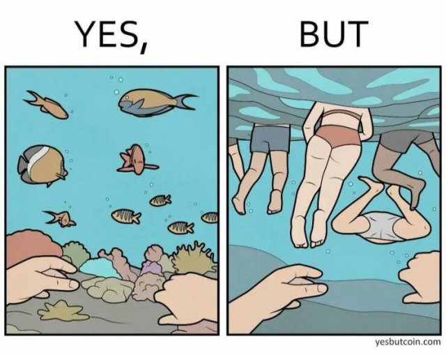 Funny ''Yes, But'' Pictures (25 pics)