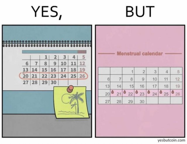 Funny ''Yes, But'' Pictures (25 pics)