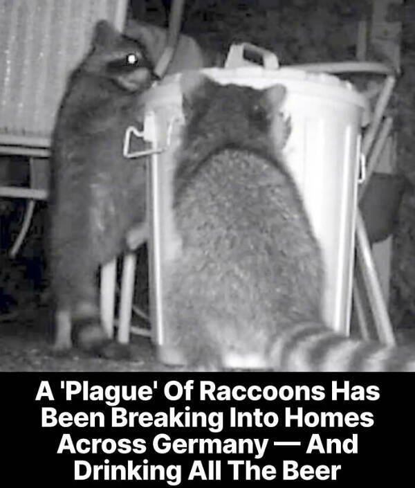 Weird Headlines (25 pics)