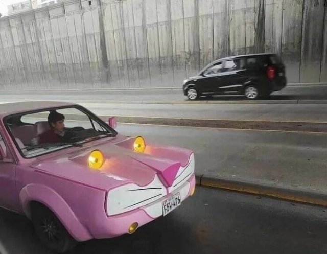 Odd Finds And Situations (25 pics)