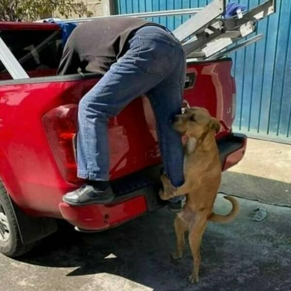 Odd Finds And Situations (25 pics)