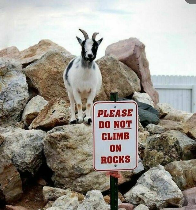 Odd Finds And Situations (25 pics)