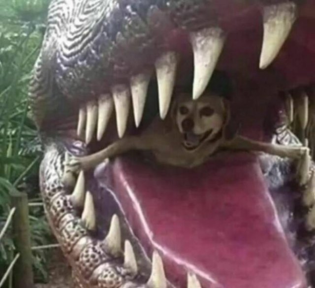 Odd Finds And Situations (25 pics)