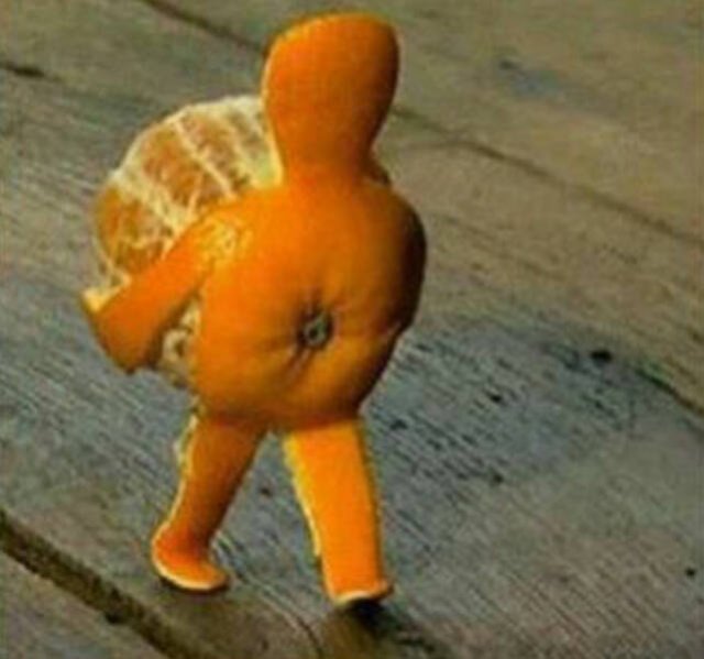 Odd Finds And Situations (25 pics)