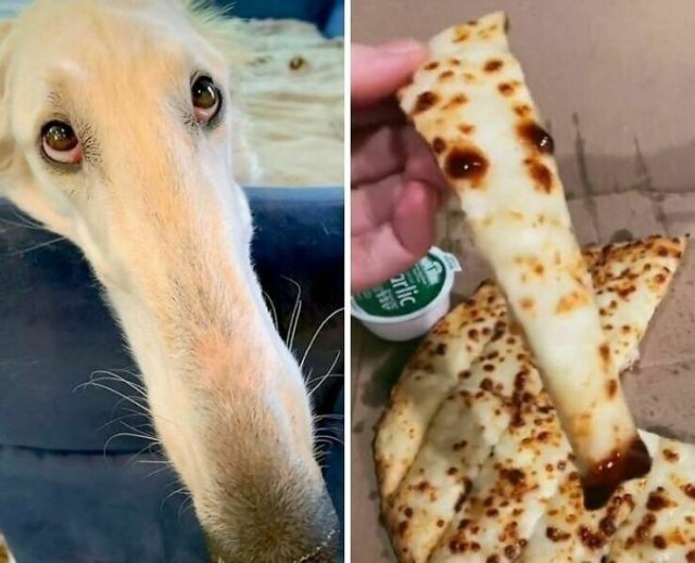 Weird Food Creations (26 pics)