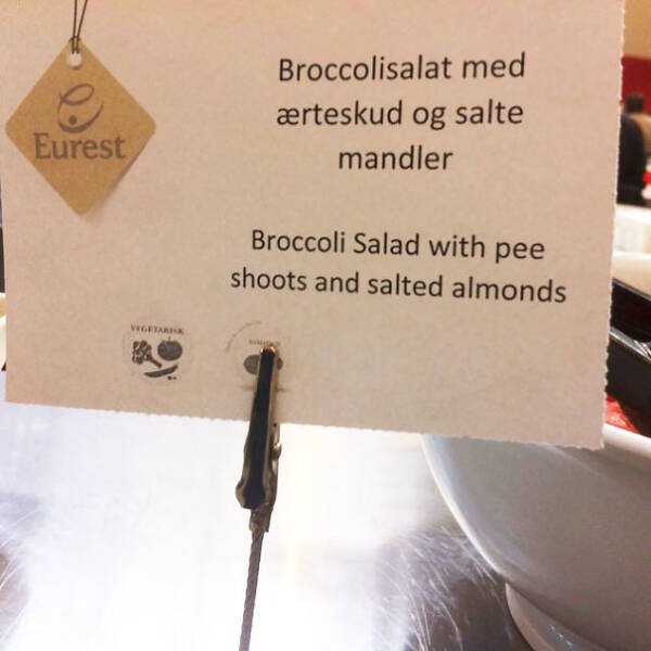 Failed Translation (23 pics)