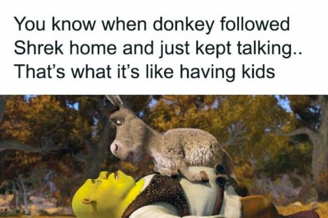 Memes For Parents (23 pics)