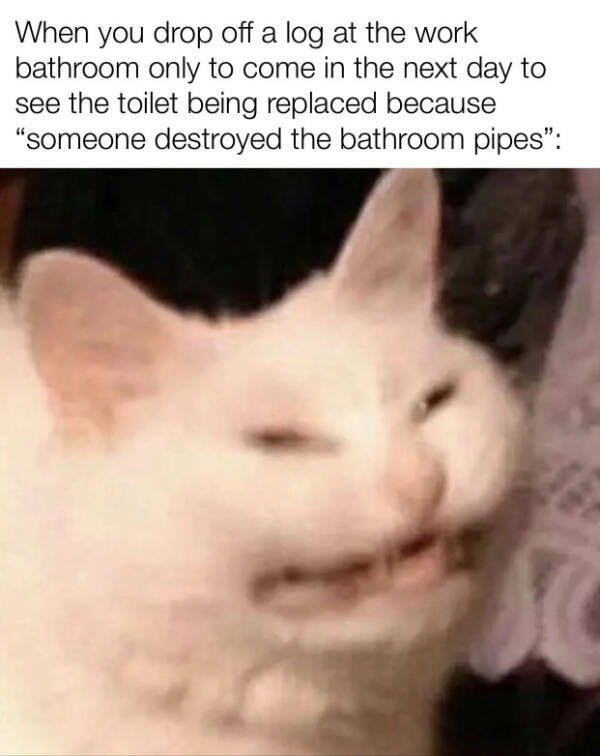 Funny Memes (23 pics)