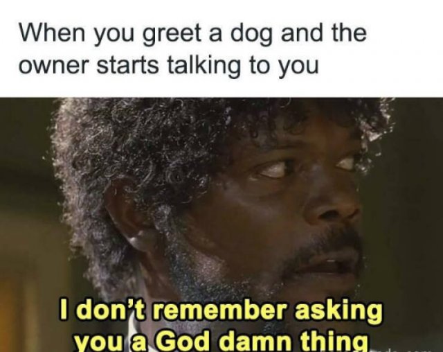 Funny Memes (23 pics)