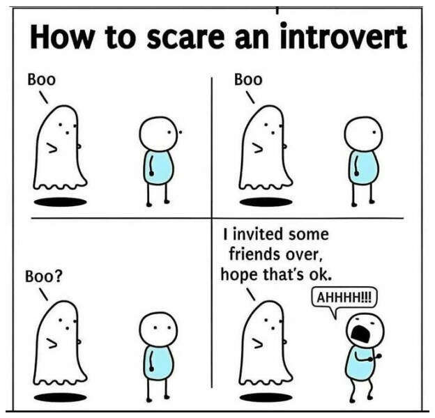 Memes For Introverts (20 pics)