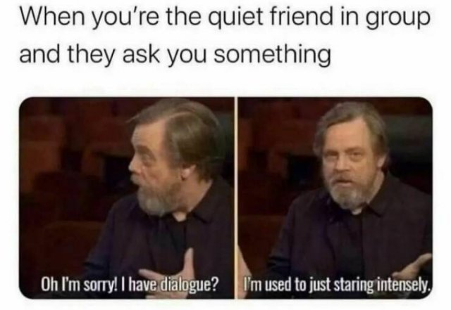 Memes For Introverts (20 pics)