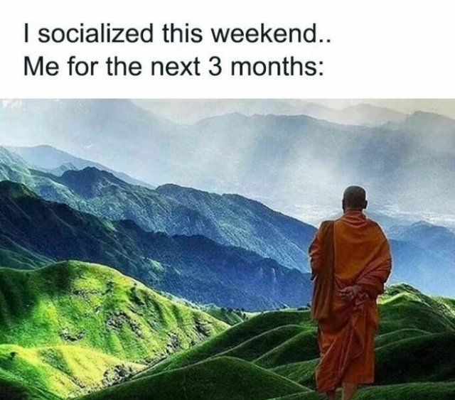 Memes For Introverts (20 pics)