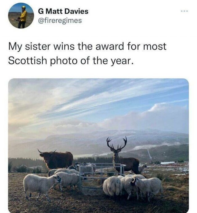 Scottish Humor (25 pics)