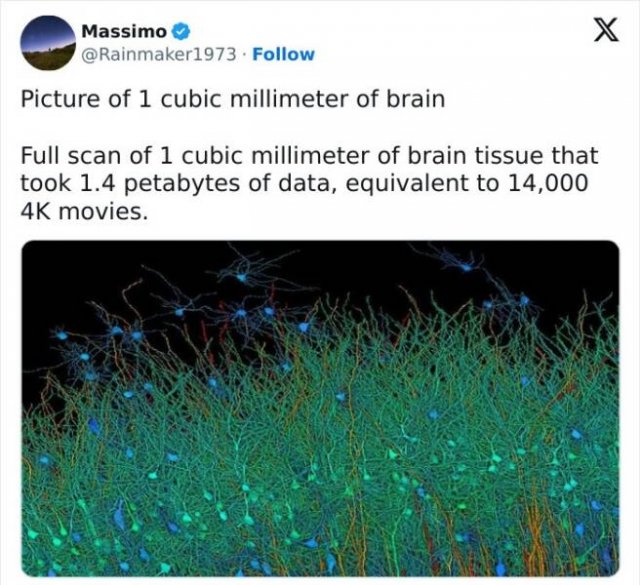 Interesting Maps And Data (20 pics)