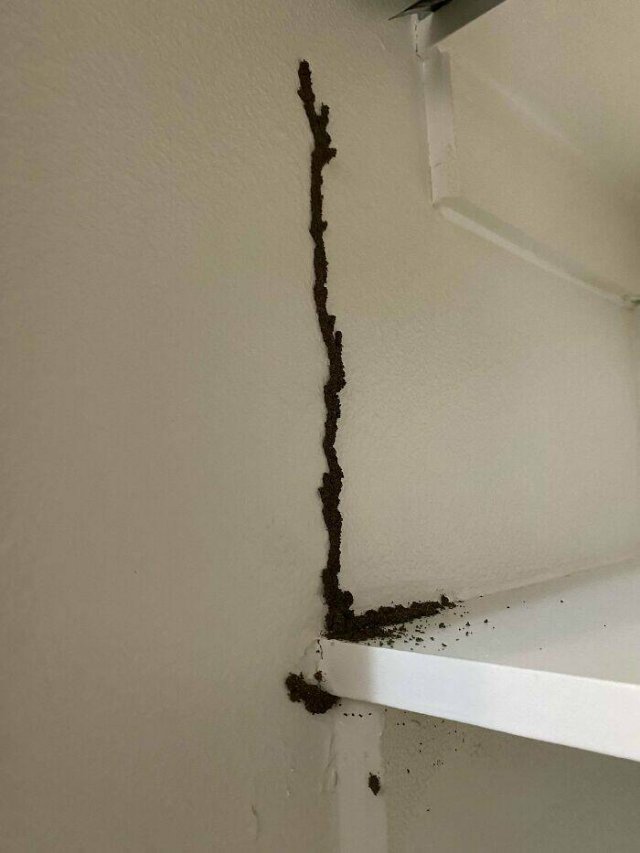 Awful Neighbors (23 pics)