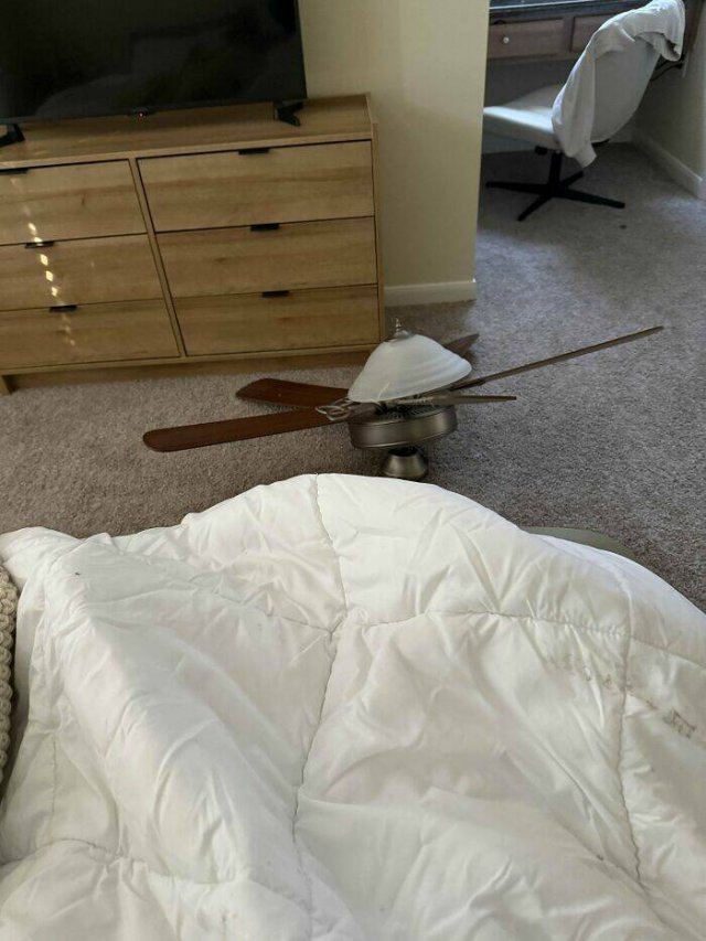 Awful Neighbors (23 pics)