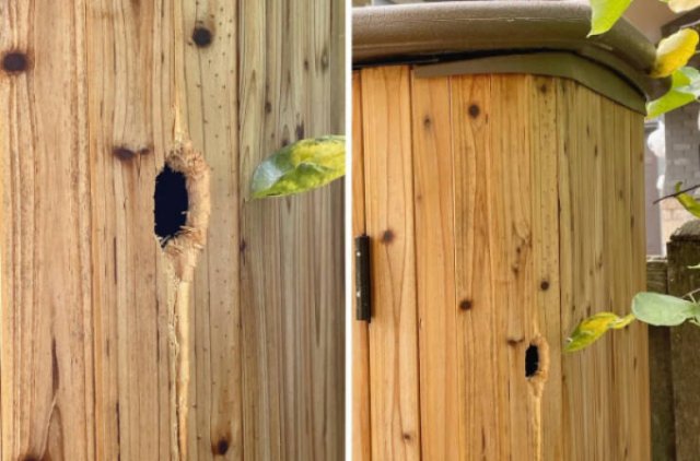 Bad Days Happen (20 pics)