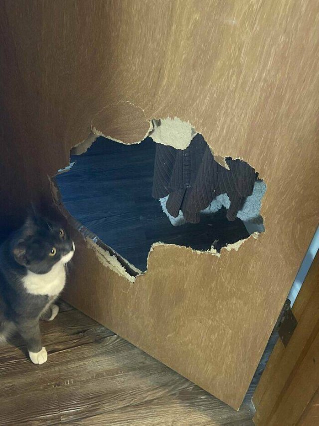 Awful Neighbors (23 pics)