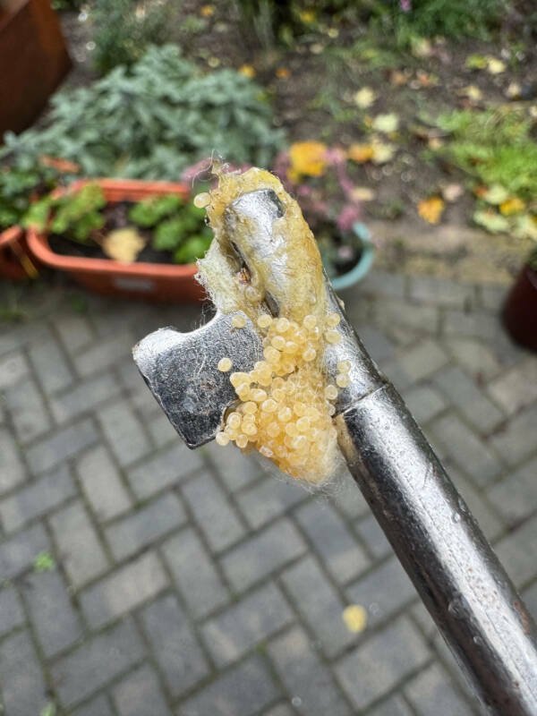 Bad Days Happen (20 pics)