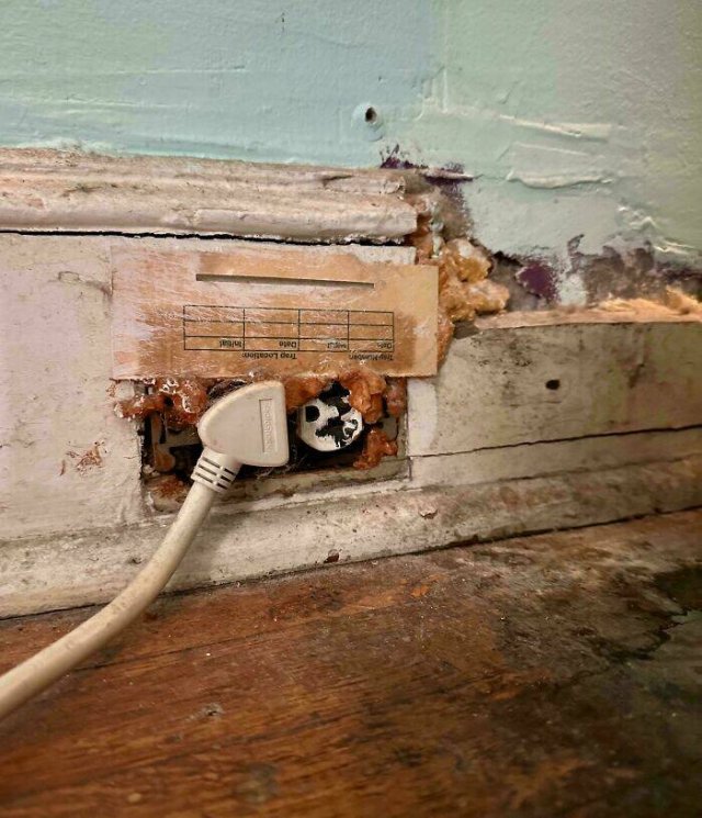 Awful Neighbors (23 pics)